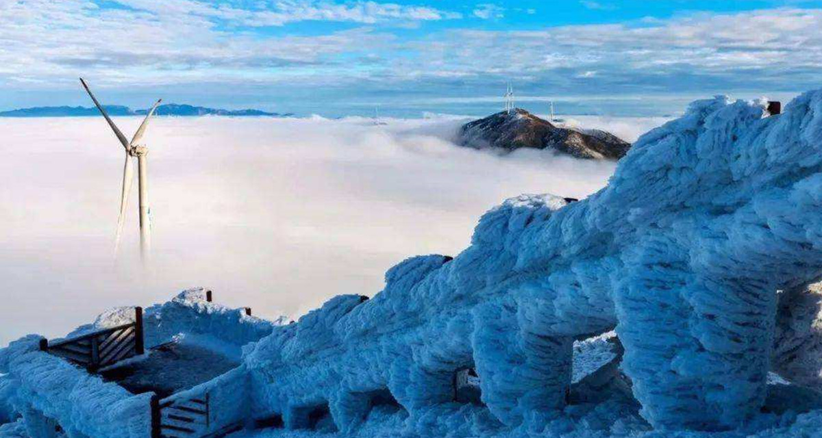 1608963069618757.png .1.png