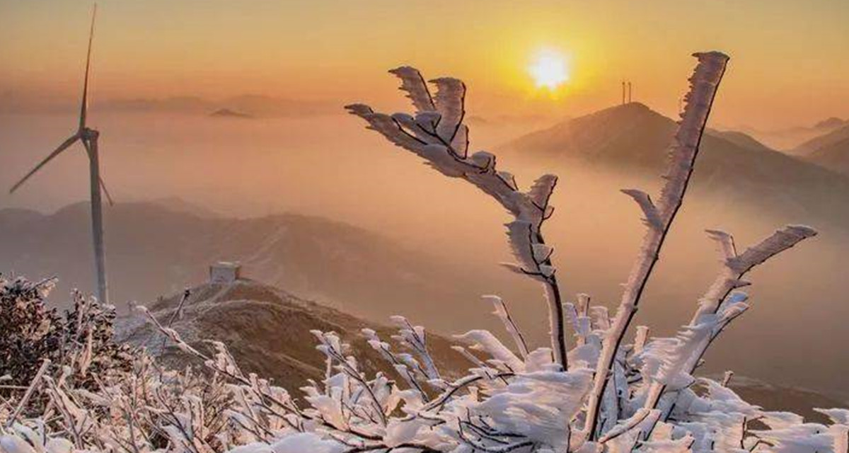 1608963207282171.png .3.png