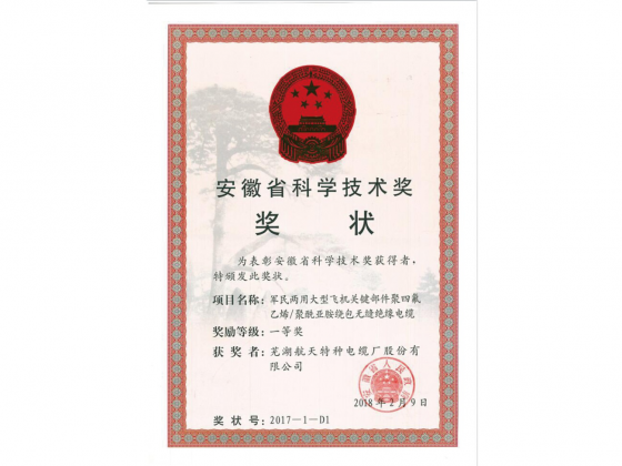 安徽省科学技术一等奖奖状