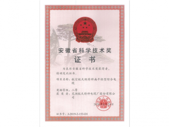 安徽省科技进步二等奖